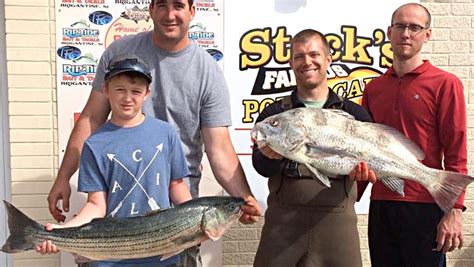stripers online|Stripers and Anglers .